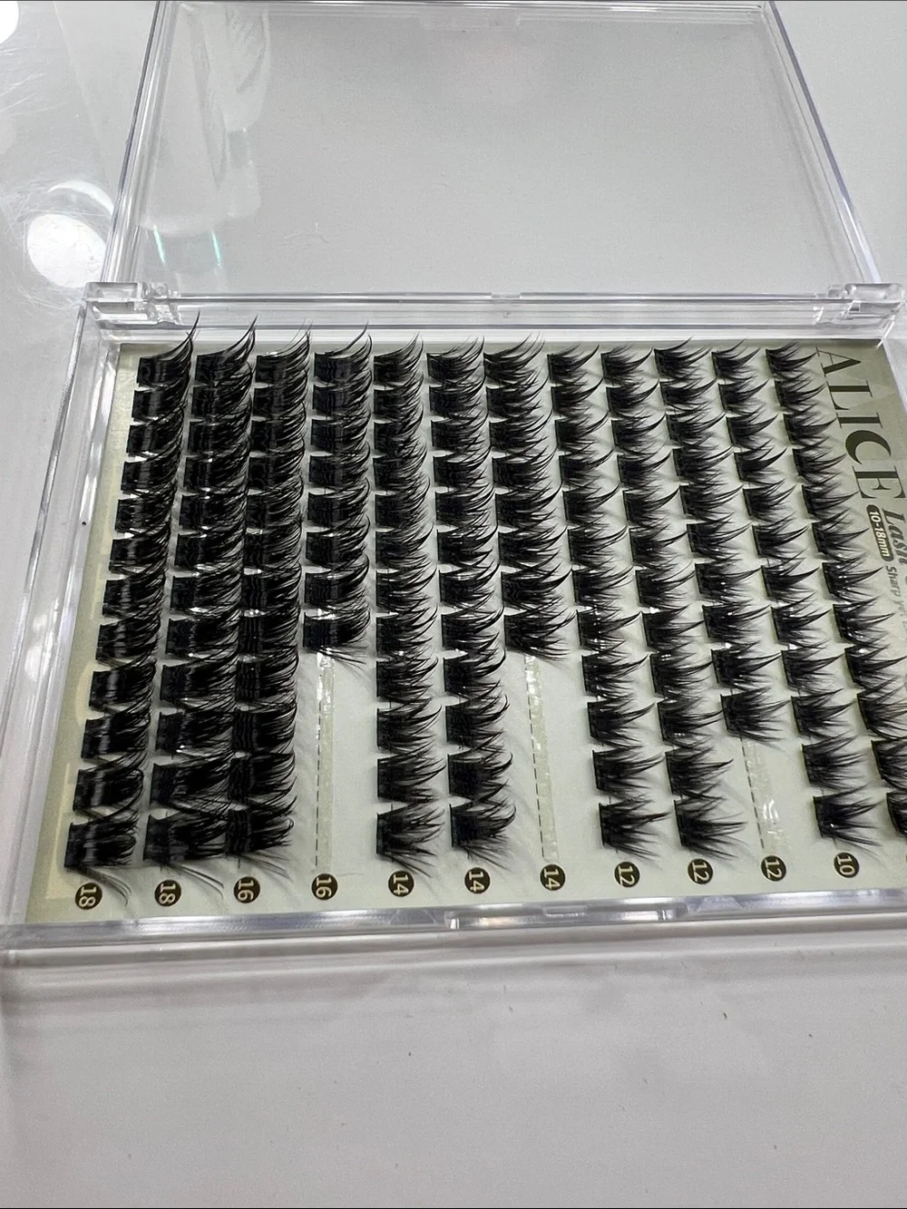 ALICE Spike Lash Clusters Black